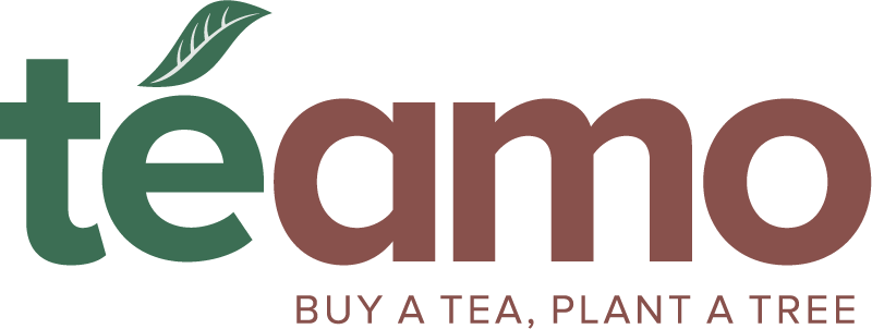 Te Amo Logo - Logo (800x302), Png Download