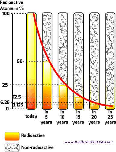 Half Life Explained With Interactive Images Charts - Exponential Decay In Real Life (384x504), Png Download