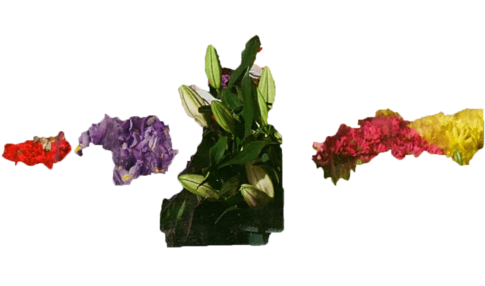 Months Passed, And I Passed Through Life Like A Zombie - Portable Network Graphics (1000x285), Png Download