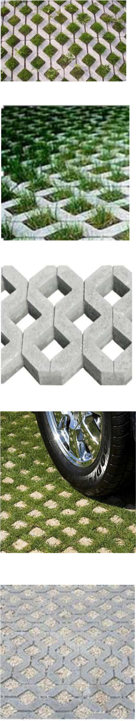 South Africa's Leading Grass Block Paving Company - Reinventing Project Management (507x2488), Png Download