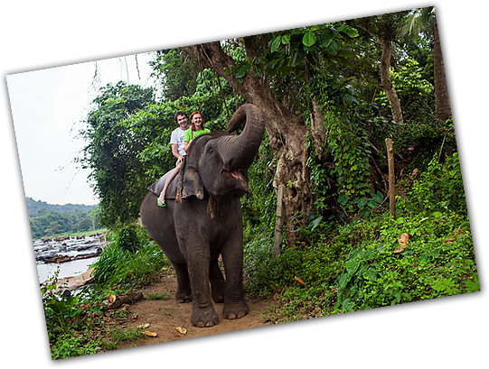 A & R Block Travel Ltd - Honeymoon (650x420), Png Download