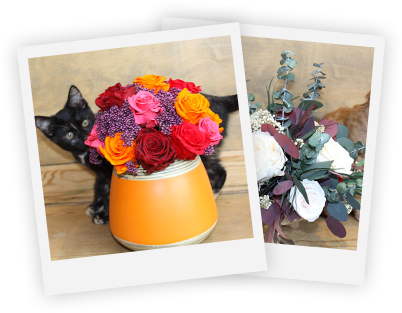 Get Social With Magic Flowers - Social Media (402x313), Png Download