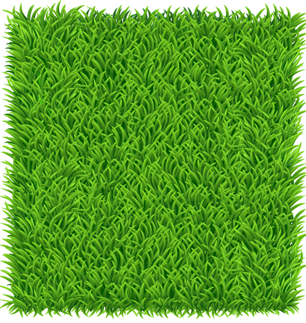 Block Bookings £5 Per Session / Daily Drop Offs £6 - Grass Square Png (442x466), Png Download