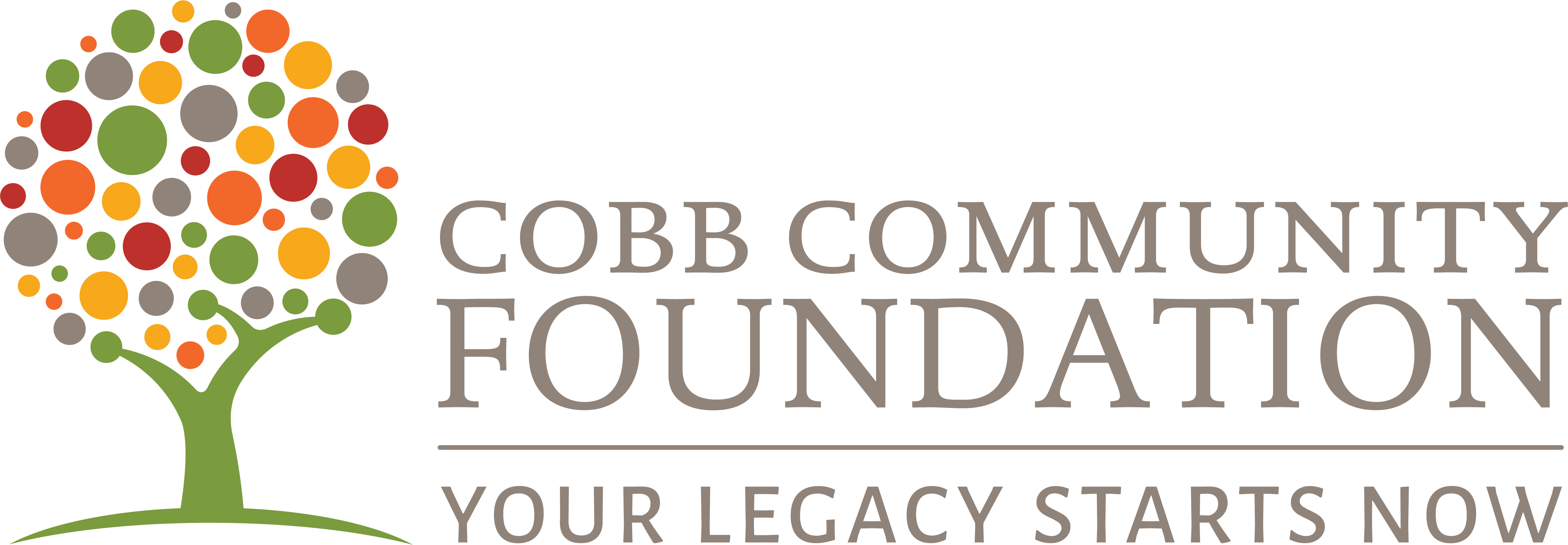 Cobb Community Foundation (4811x1674), Png Download