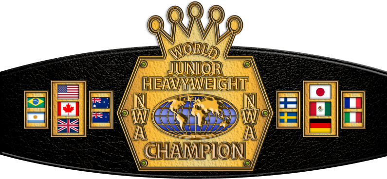 Nwa World Junior Heavyweight Championship - Nwa World Heavyweight Championship (795x369), Png Download