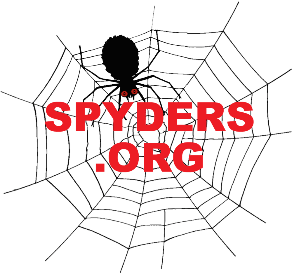 Button6-nwa Spydersorg - Spider In Web Drawing (1000x939), Png Download