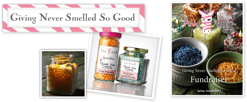 Pink Zebra Has A Brand New Fundraiser Program With - Bilberry (904x353), Png Download