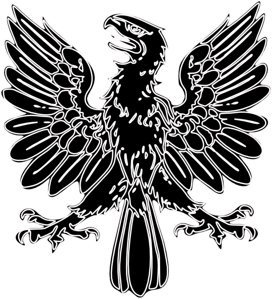 Chief Wahoo Wikipedia - Birds Of Power Symbols (540x594), Png Download