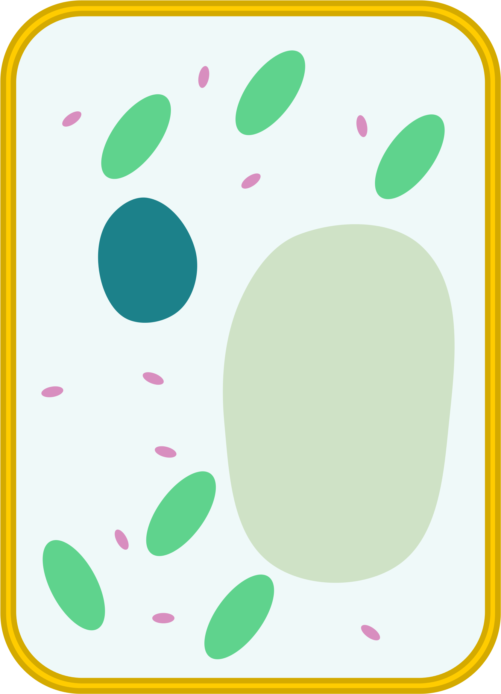 Template Simple Diagram Blank Animal Cell - Simple Blank Plant Cell Diagram (2000x2641), Png Download