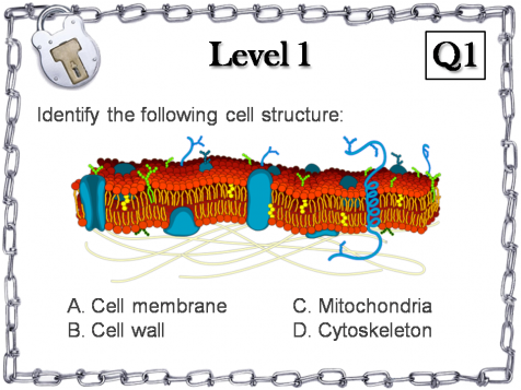 Download Plant And Animal Cell Organelles Escape Room - Biochemistry Study  Guide [book] PNG Image with No Background 