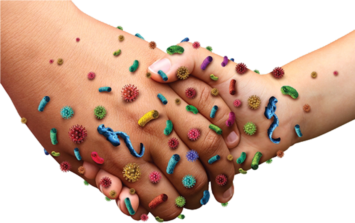 Steph Davidson On Twitter (1200x800), Png Download