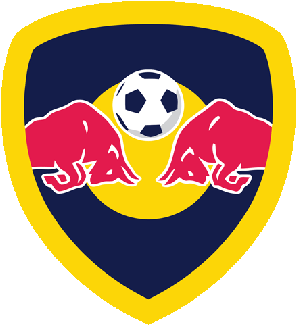 New York Red Bulls Colorful Logo - Red Bull Football Logo (450x450), Png Download