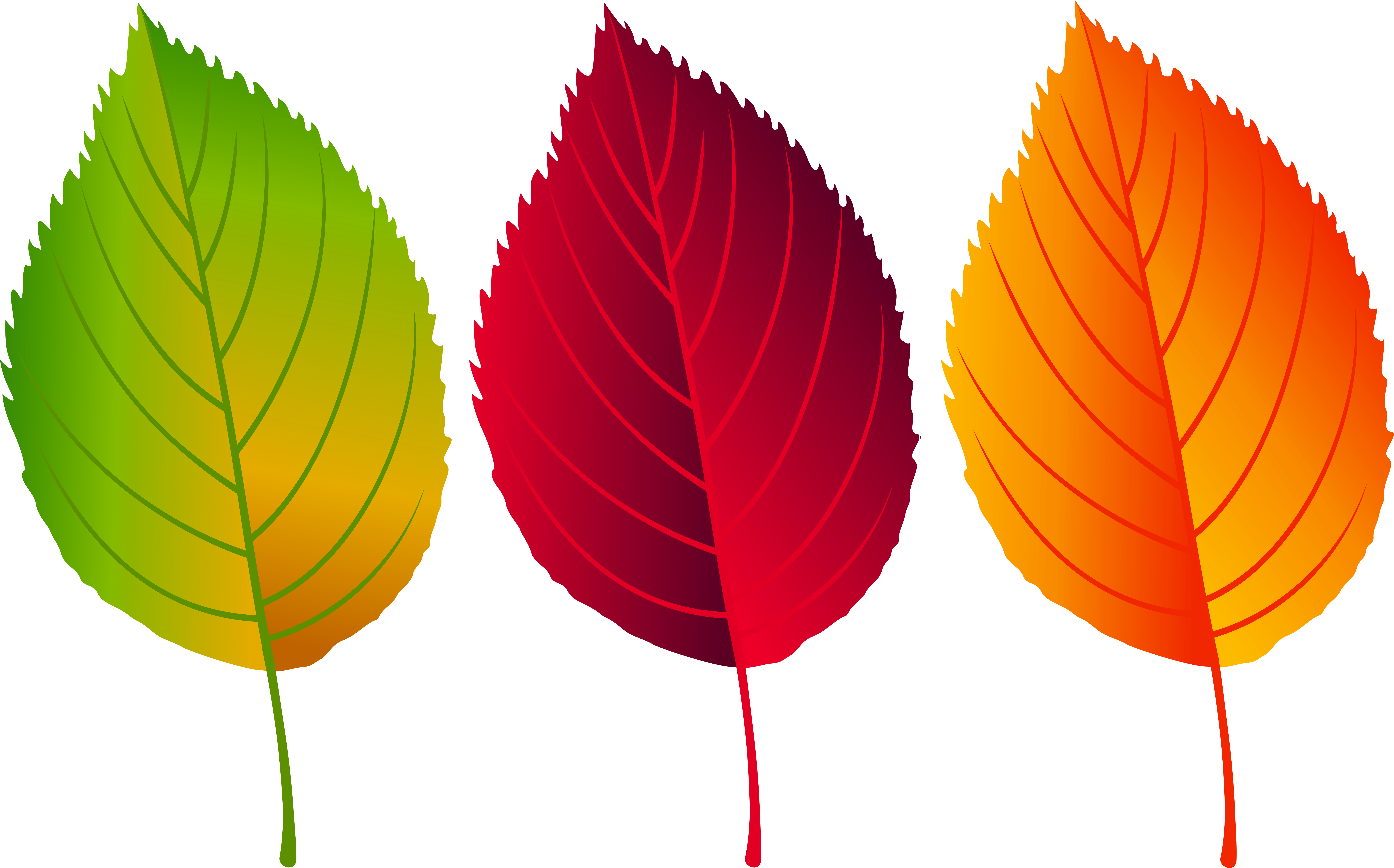 Fall Leaves Png Clip Art Image, Is Available For Free - Illustration (8000x5004), Png Download