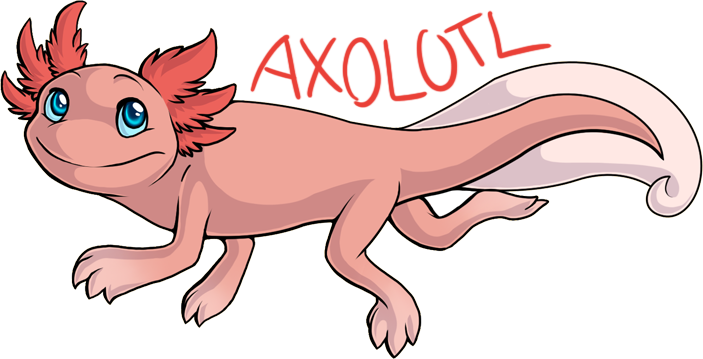 Download Axolotl By Jedimastermossfur On Deviantart Axolotl Drawing Png Image With No Background Pngkey Com