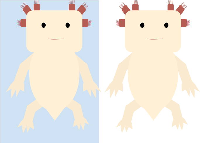 Animalaxolotl - Illustration (699x494), Png Download