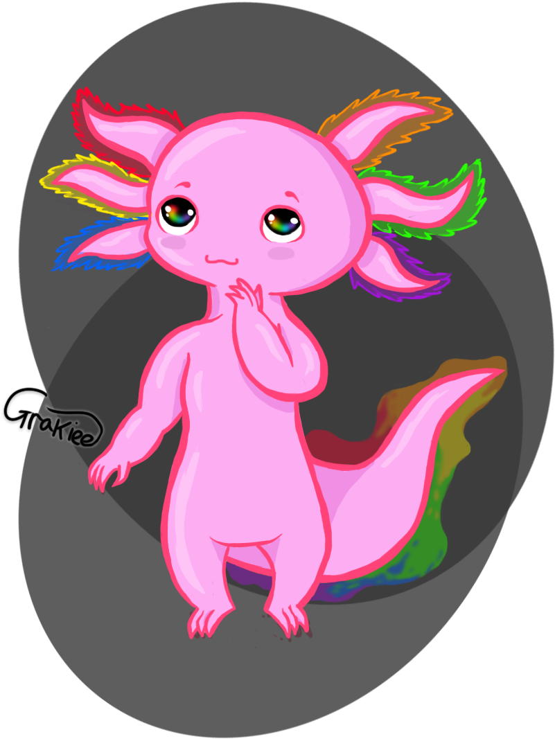Axolotl Are Awesome Deviantart Gallery - Axolotl Rainbow (828x1084), Png Download