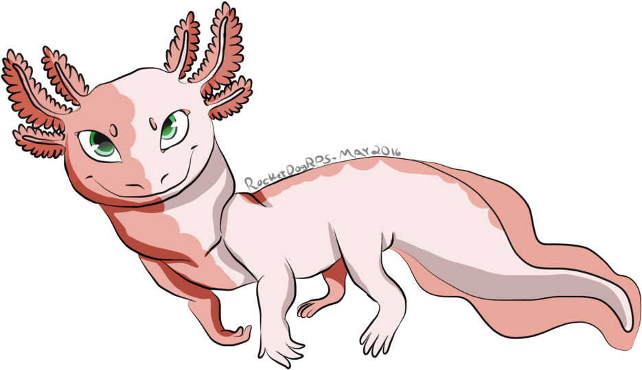 Graphic Library Download Markings By Axolotl Isle - Cartoon (1024x666), Png Download