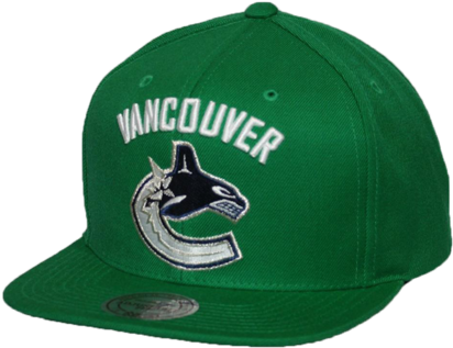 Vancouver Canucks Basic Logo Snapback - Vancouver Canucks (421x480), Png Download