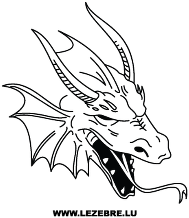 T Shirts Cao Azul (800x800), Png Download