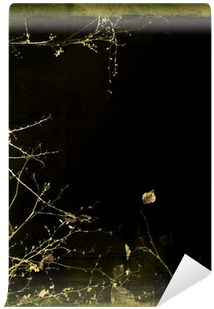 Spider Web (400x400), Png Download