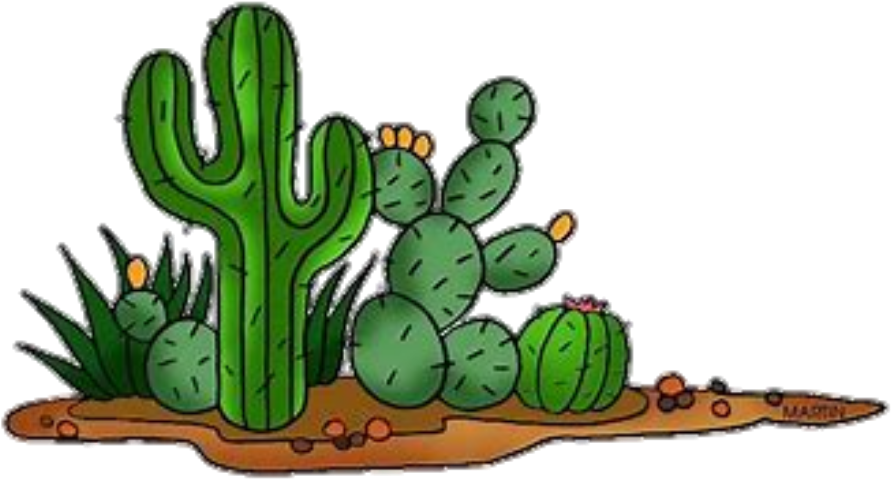 Sticker By Tee - Clipart Cactus Plant (1024x1024), Png Download