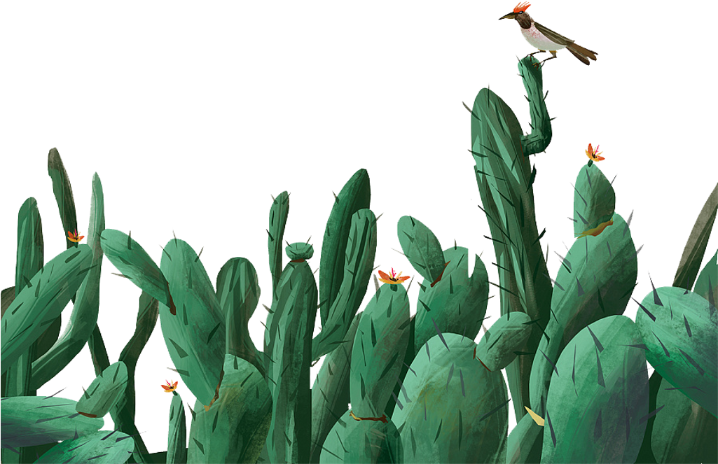 Cactus (1024x1024), Png Download