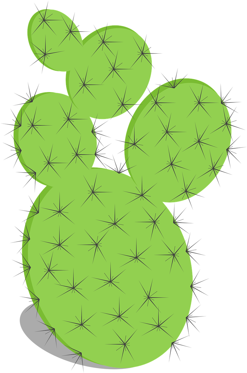 Cactus,prickly - Figue De Barbarie Png (879x1280), Png Download