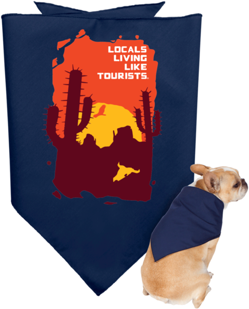 Lllt Doggie Bandana - Customcat 3905 Doggie Bandana (620x620), Png Download
