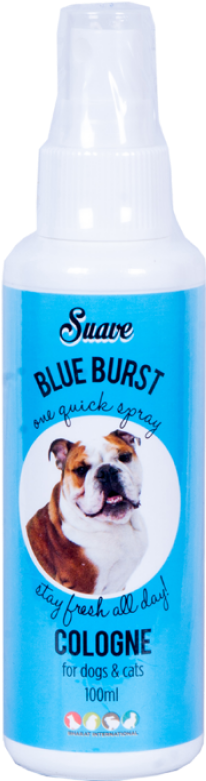 Suave Blue Burst Cologne 100 Ml - Suave (800x800), Png Download