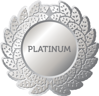 Platinum download. Платиновый альбом награда. награда платина продюсер. status platinum geom.