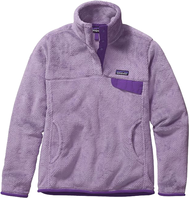 25442 Ptkx - Patagonia Re Tool Snap T Pullover Ploy Purple (625x665), Png Download