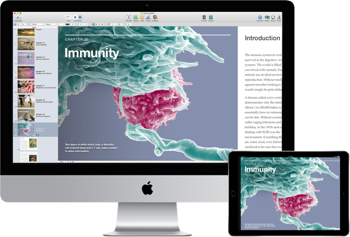 Ibooks Author Support - Apple Ipad (4th Generation) - Wi-fi + 4g - Sprint - (708x480), Png Download