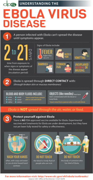 Ebola Infographic - Online Advertising (300x601), Png Download