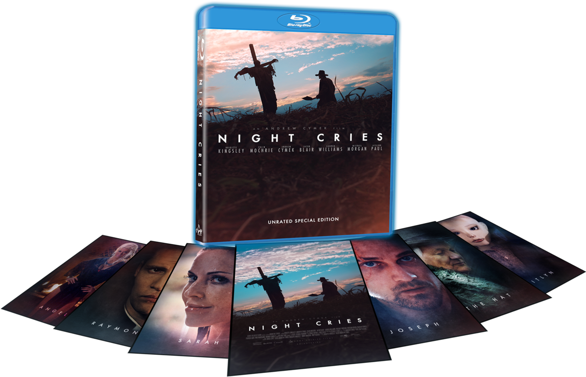 Dvd (1200x927), Png Download