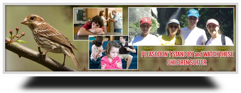 Parental Alienation Solutions - Custody And Divorce (982x380), Png Download