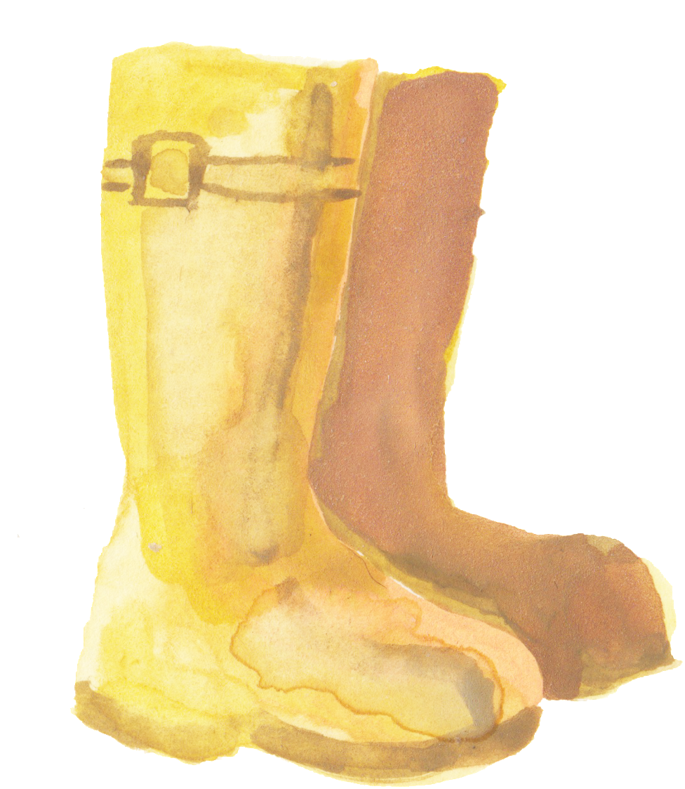 Transparente Material Ornamental Para Aceite Amarillo - Boot (1024x1145), Png Download