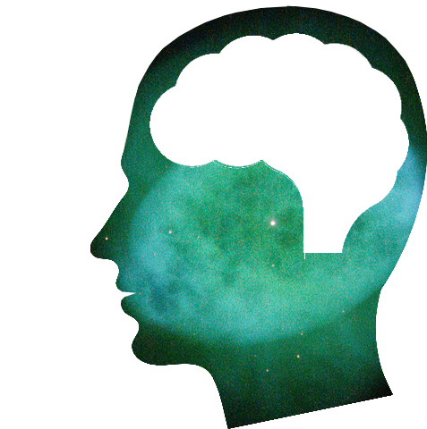 With Higher Attention And Ability To Remember Detail - Illustration (800x480), Png Download