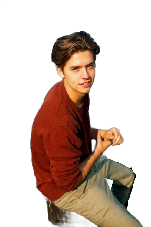 Report Abuse - Transparent Cole Sprouse Png (499x749), Png Download