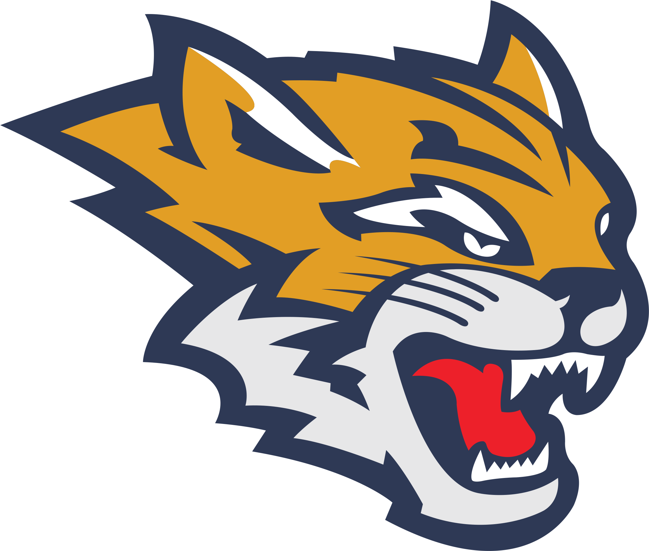 Download Frostburg State University Mascot PNG Image with No Background