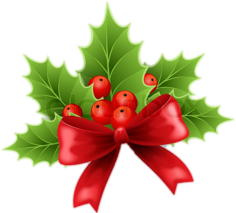Christmas Holly Berries - Red Ribbon With Holly (800x720), Png Download