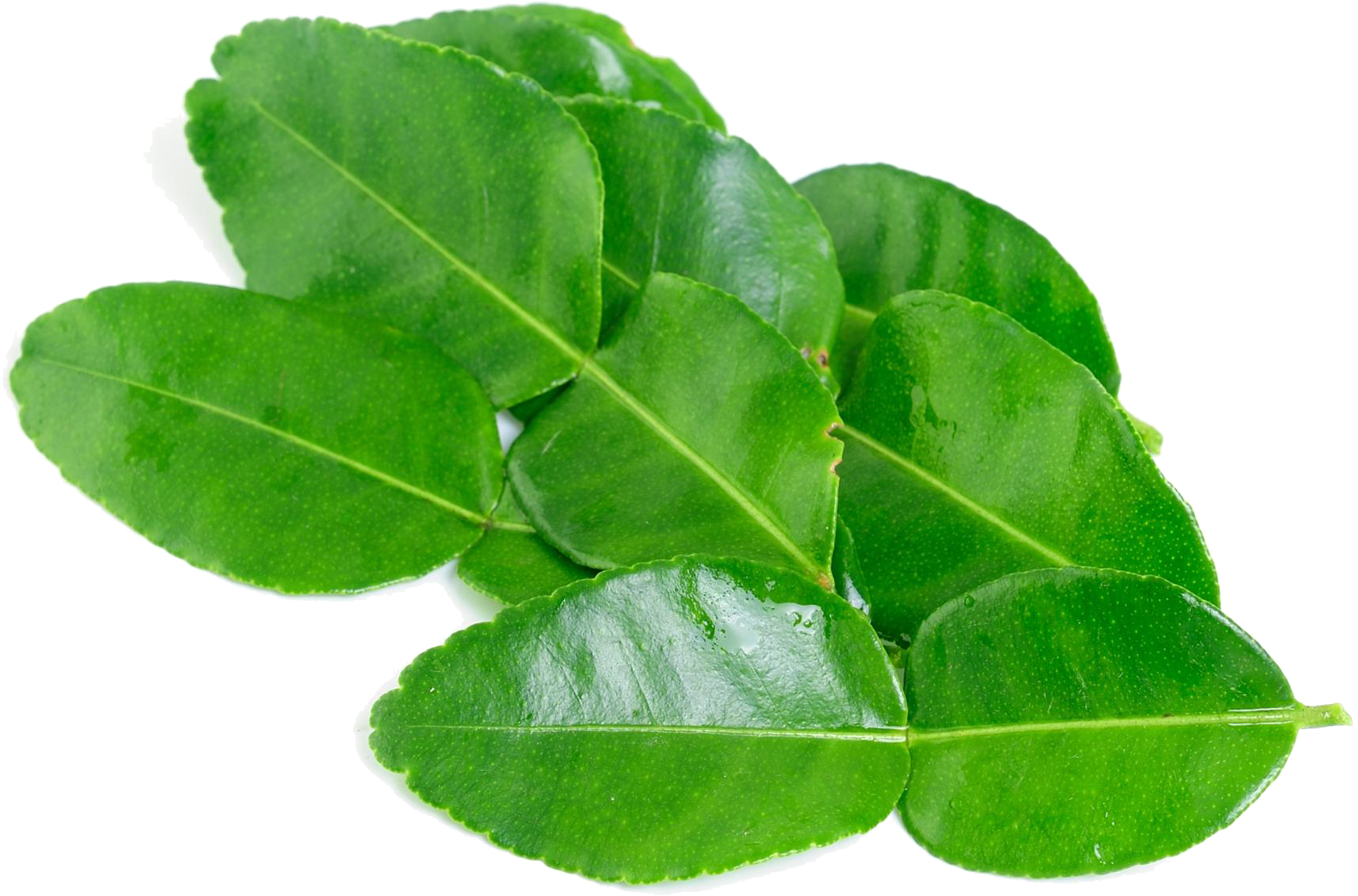 Kaffir Lime Leaves Png Background Image - Kaffir Lime Leaf (2000x1471), Png Download