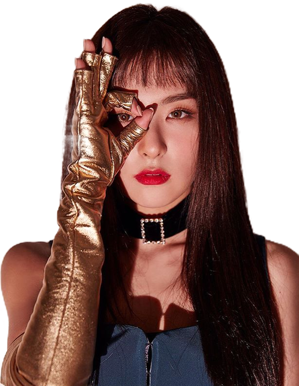 Report Abuse - Profile Of Red Velvet Members (614x792), Png Download