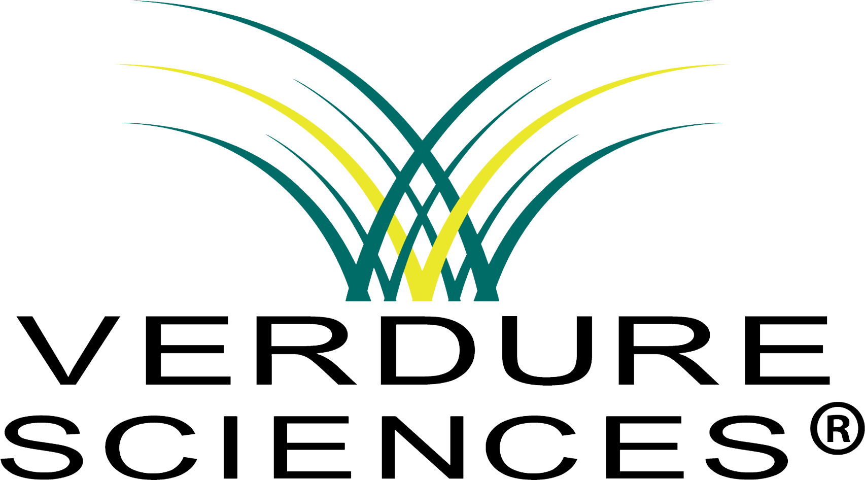 099bc117 Ae51 4139 A8ca 9dd4cbc58ad8 - C (1816x1167), Png Download