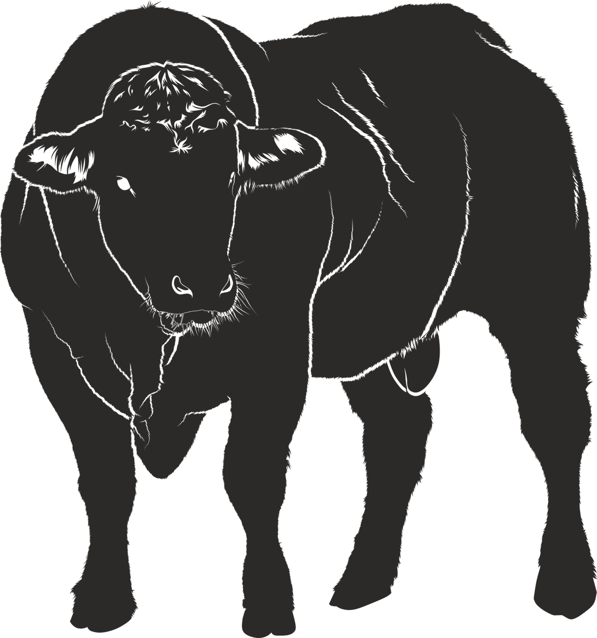 Bull Silhouette Black - Bull 5'x7'area Rug (1199x1280), Png Download