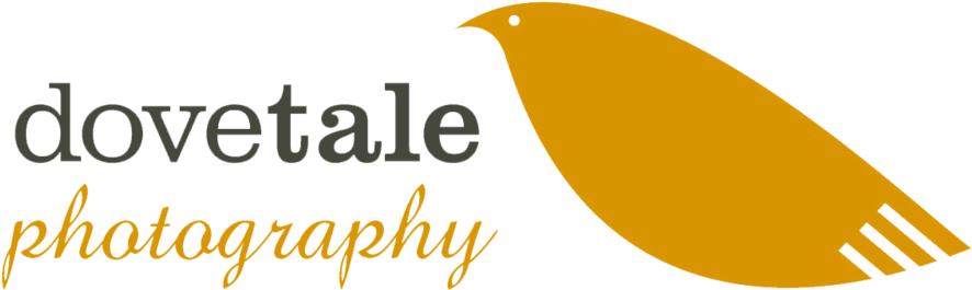 Dovetale Video Reel - Pretty Little Liars: Team Hanna Throw Blanket (960x354), Png Download