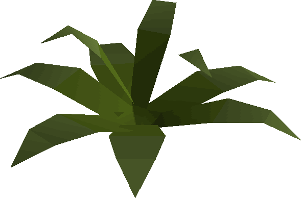 Fern Built - Wiki (589x388), Png Download