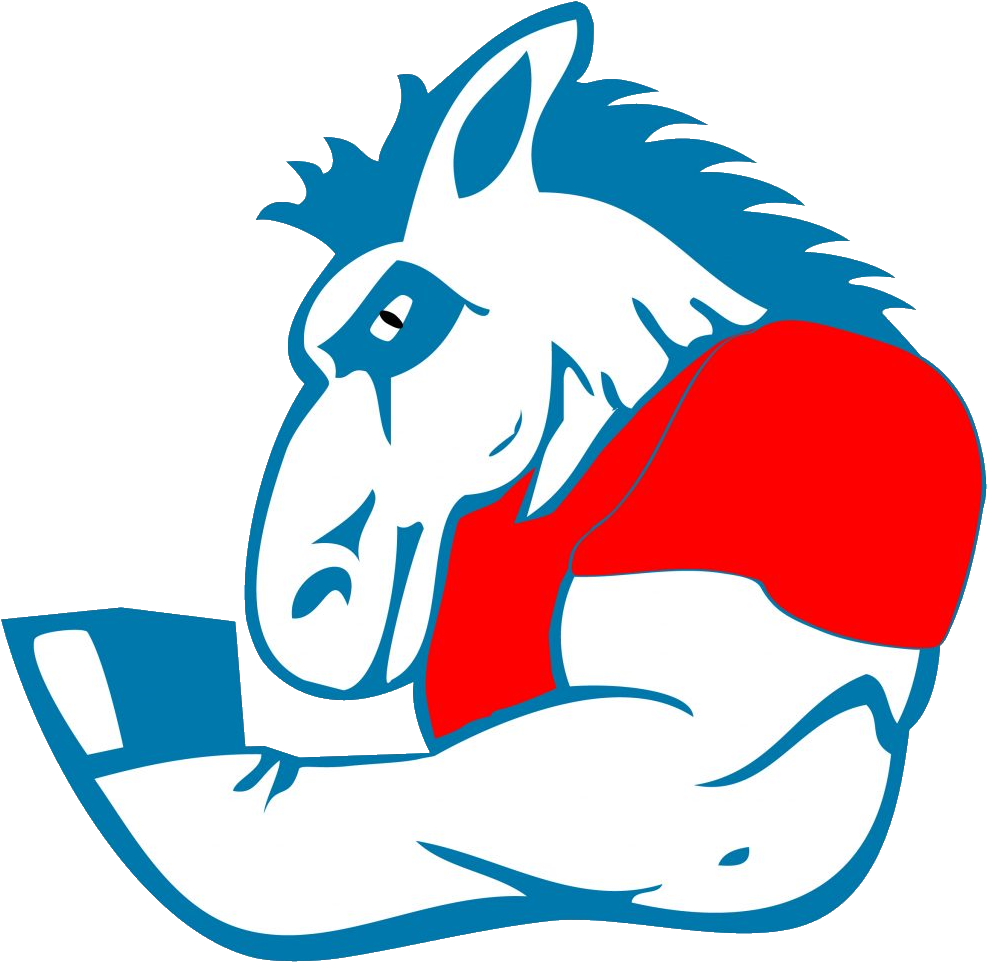 Copy Burro Flexing 1024×998 - Clip Art (1024x998), Png Download