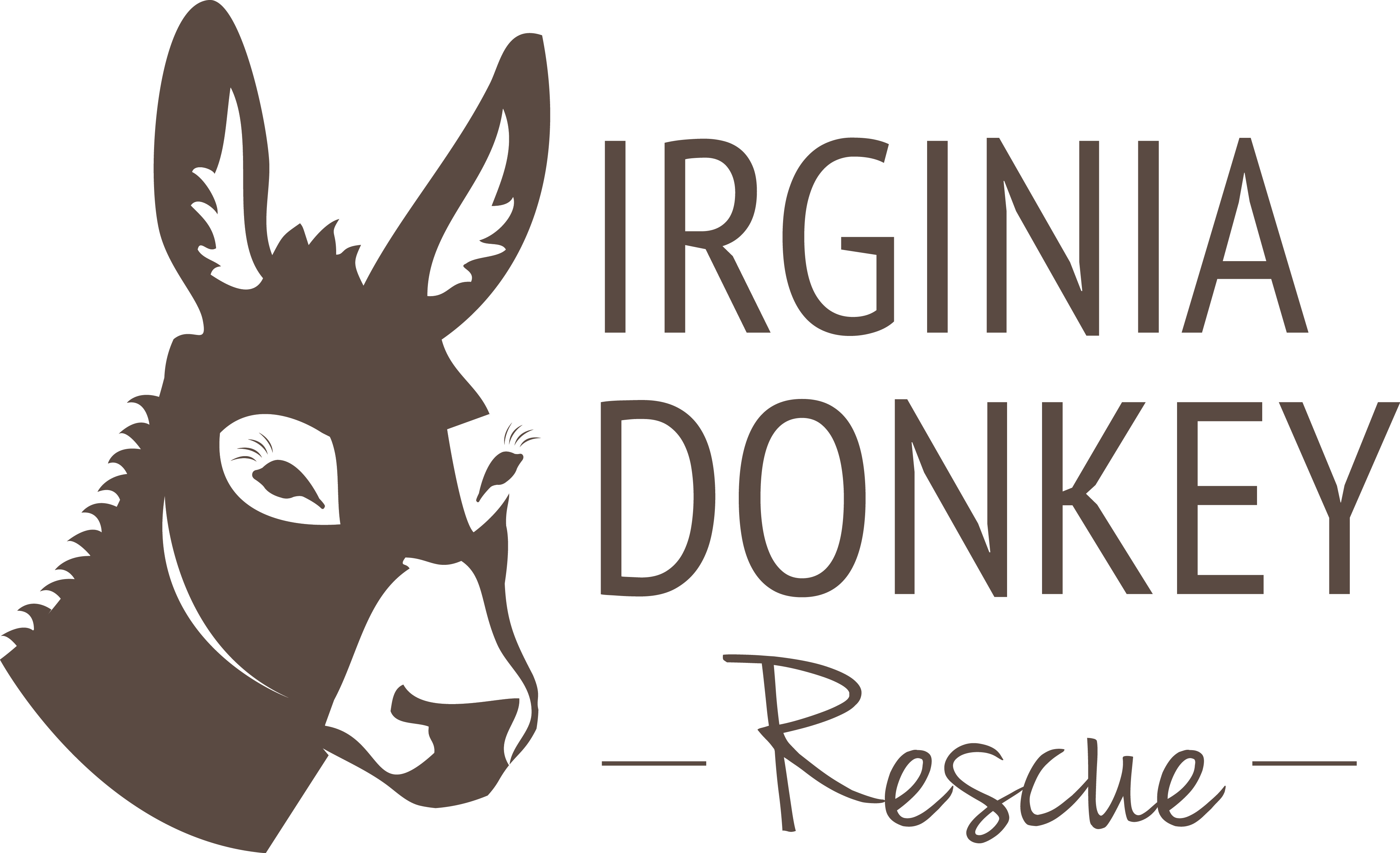 Donkey For Sale In Virginia Beach (4044x2463), Png Download