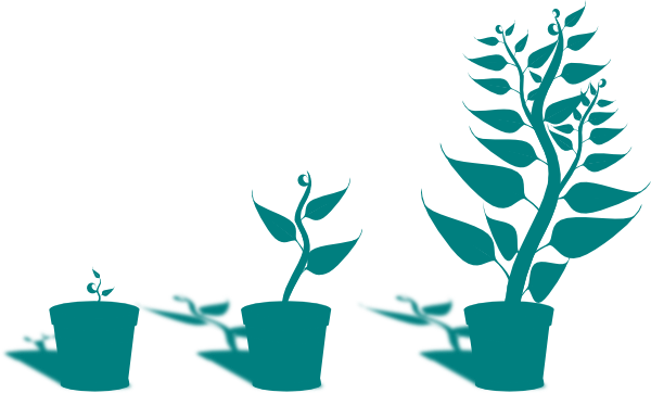 Plants Clipart Small Plant - Getting To Know Plants (600x362), Png Download