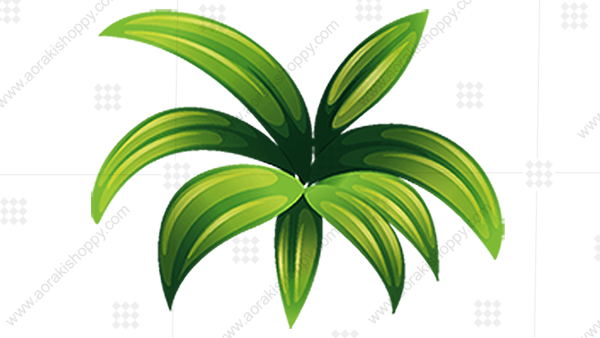 Small Plant (600x338), Png Download